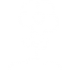 flower (3) flower (3)