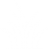 grass (1) grass (1)